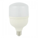 CTI Lighting 20 W LED BULB- CTIT8020W – T80-6500K-E27