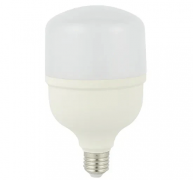 CTI Lighting 20 W LED BULB- CTIT8020W – T80-6500K-E27