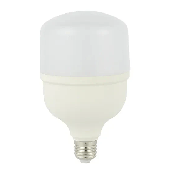 CTI Lighting 20 W LED BULB- CTIT8020W – T80-6500K-E27